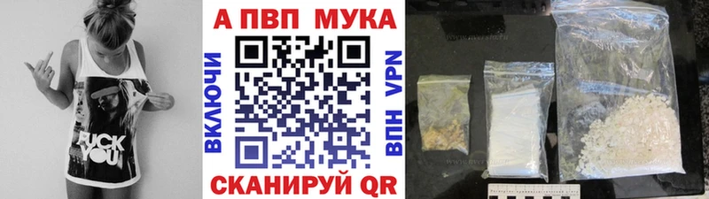 Альфа ПВП СК  Туапсе 