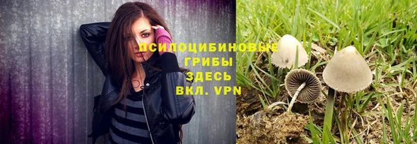 тгк Абаза