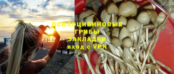 тгк Абаза