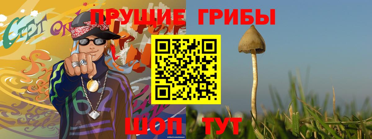 Туапсе  Псилоцибиновые грибы GOLDEN TEACHER  Псилоцибиновые грибы Cubensis  как найти закладки  Вход с VPN 